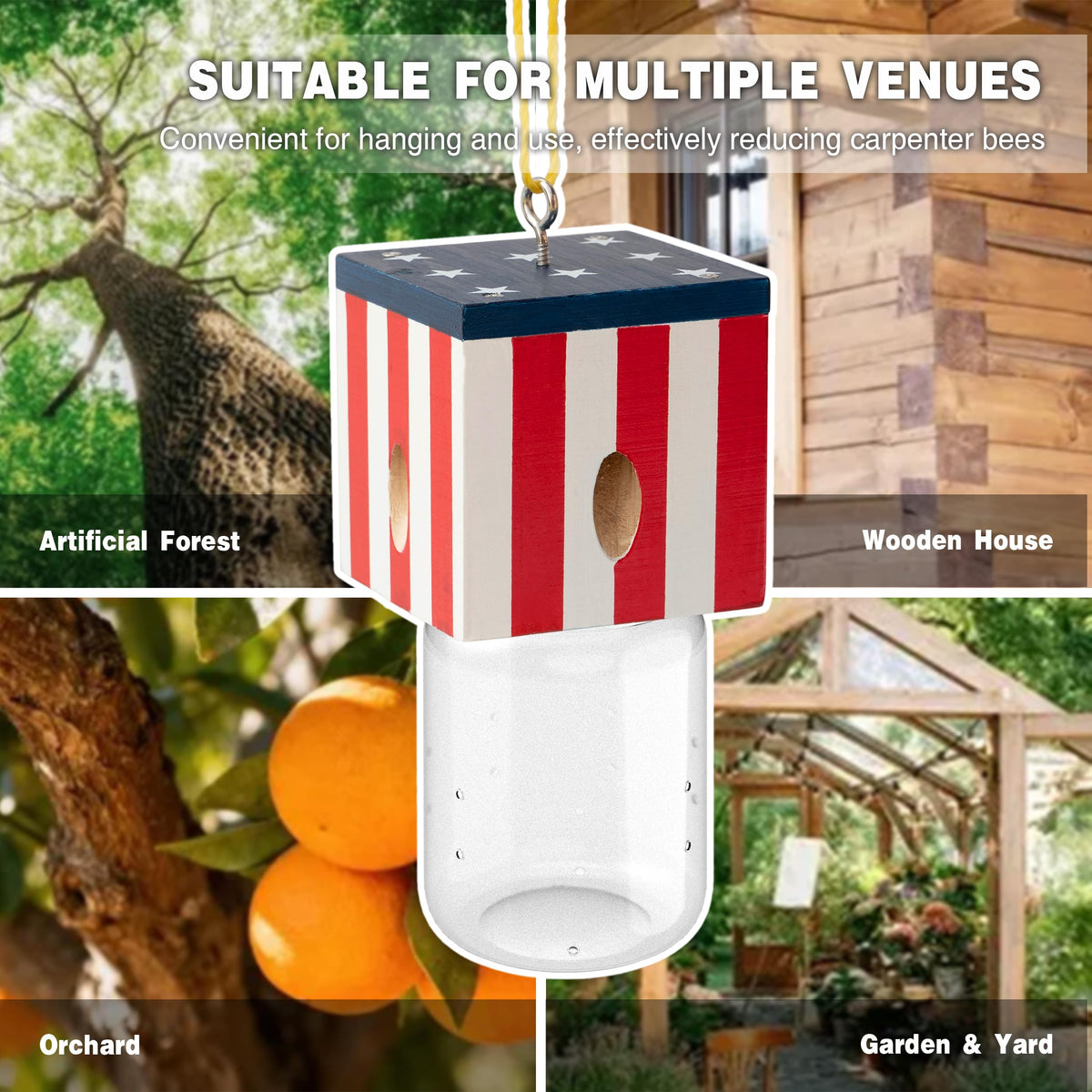 Best Bee Trap sunlight placement guide helps maximize bee activity capture.