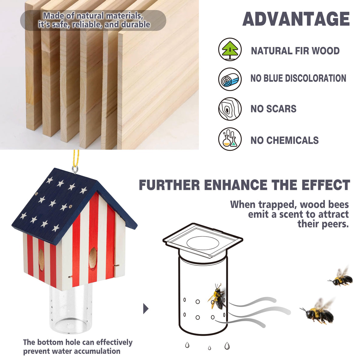Best Bee Trap sunlit setup for effective bee attraction.