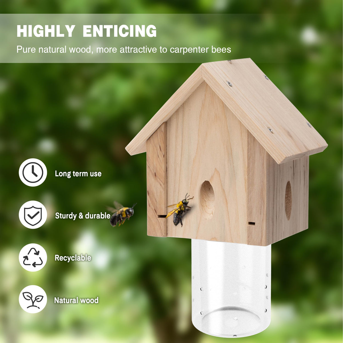 Best Bee Trap weather-resistant fir trap designed for year-round outdoor use