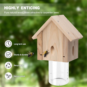 Best Bee Trap weather-resistant fir trap designed for year-round outdoor use