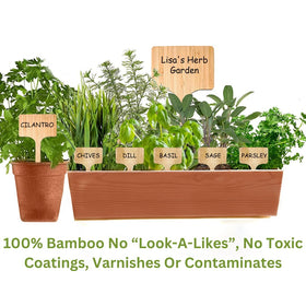 Best Pick thick sturdy point ensures easy insertion into soil or planters