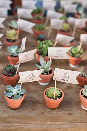 BestTOYHOME smooth-finish pots suitable for school plant projects