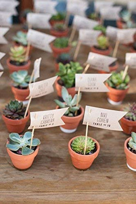 BestTOYHOME smooth-finish pots suitable for school plant projects