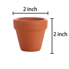 BestTOYHOME tiny planter for cacti and succulents with breathable terracotta