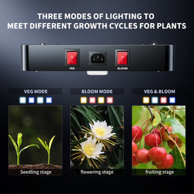 BESTVA DC3000 LED grow light veg-mode bloom-mode demonstrates adjustable settings for plant stages