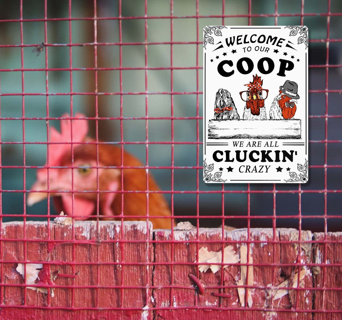 Bestylez Comedy chicken sign serves as a lighthearted gag gift for poultry fans.