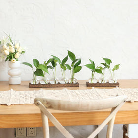 BETTSTATION gift-ready box ideal for plant lovers