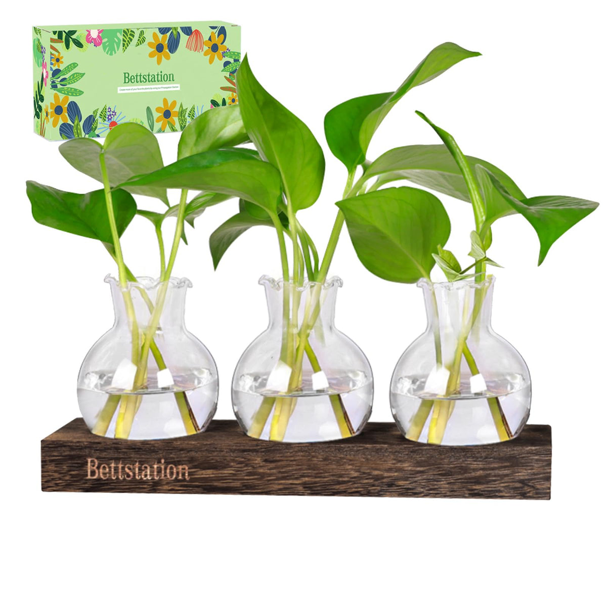 BETTSTATION propagation stand with glass vases for plant cuttings