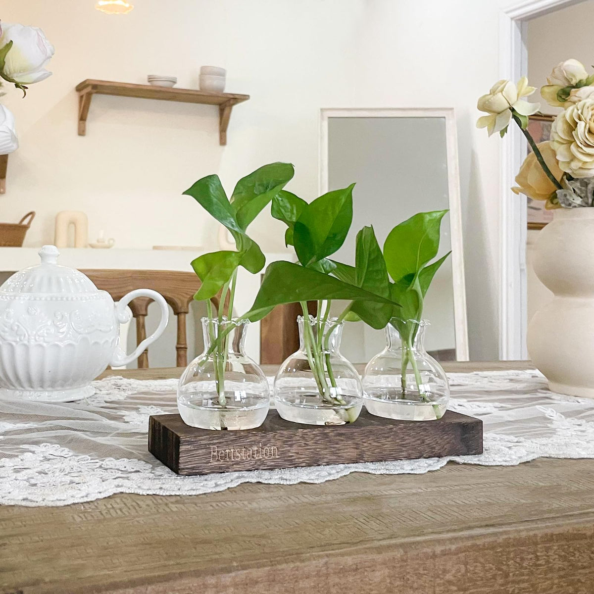 BETTSTATION home office decor accent with botanical display