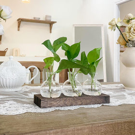 BETTSTATION home office decor accent with botanical display