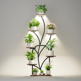 BEVAURORA shadow play from sunlight across open-tier display.