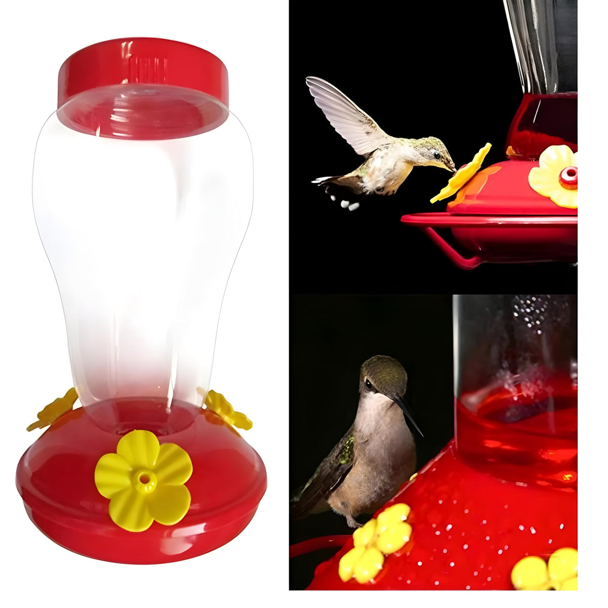 Bexter hummingbird feeder leak-resistant design close-up showing seal.