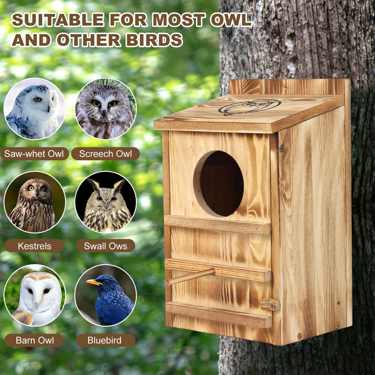BFAZKXY anti-predator entrance reduces raccoon access to nesting box.