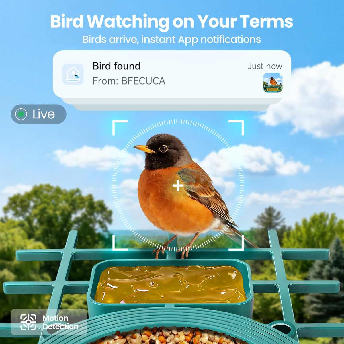 BFECUCA AI identification highlights visiting species for quick learning.