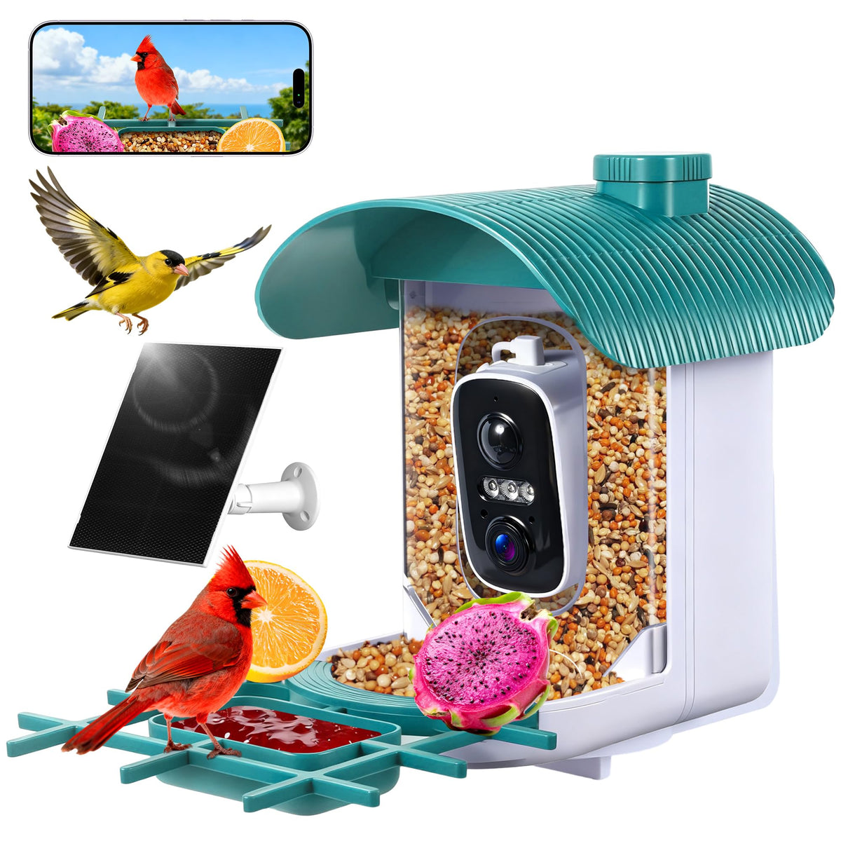 BFECUCA smart bird feeder camera provides crisp 2K live view for backyard watching.