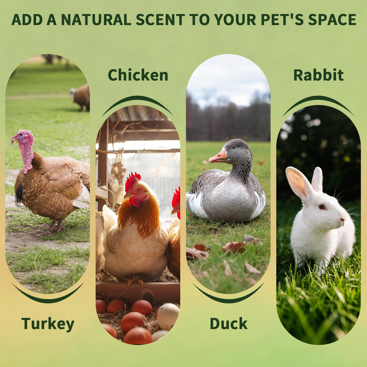 BGraceyy Chicken Nesting Herbs coop refresh signals calming coop aromas