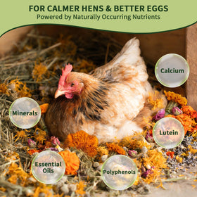BGraceyy Chicken Nesting Herbs nest box scene invites nesting space