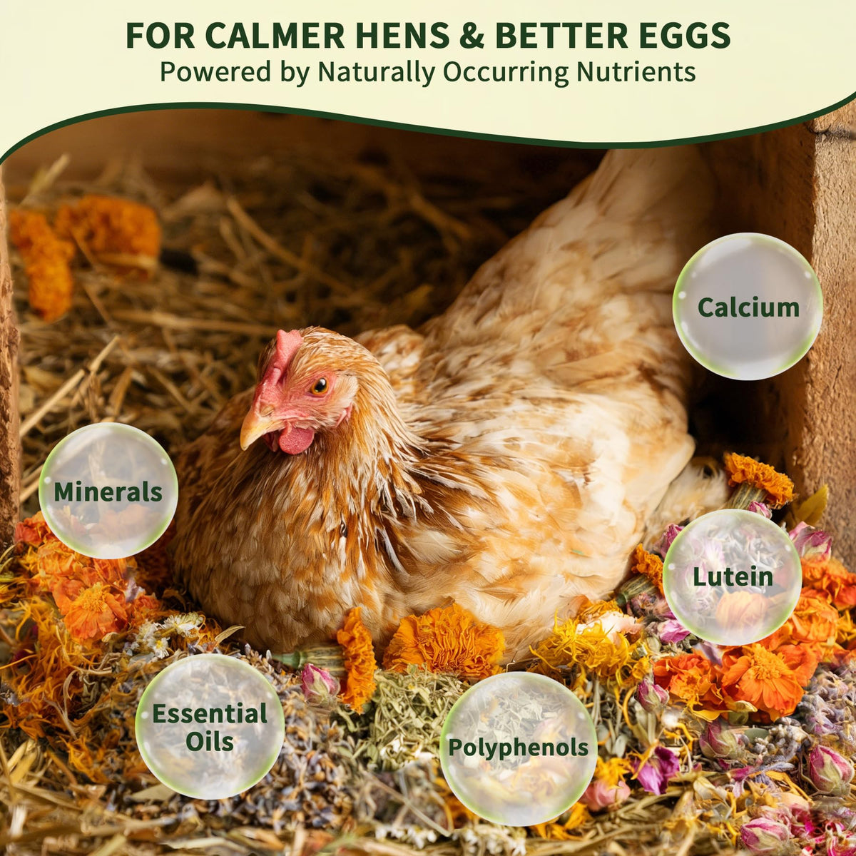 BGraceyy coop aroma herbs shown near nesting roost, refreshing odors without chemicals.