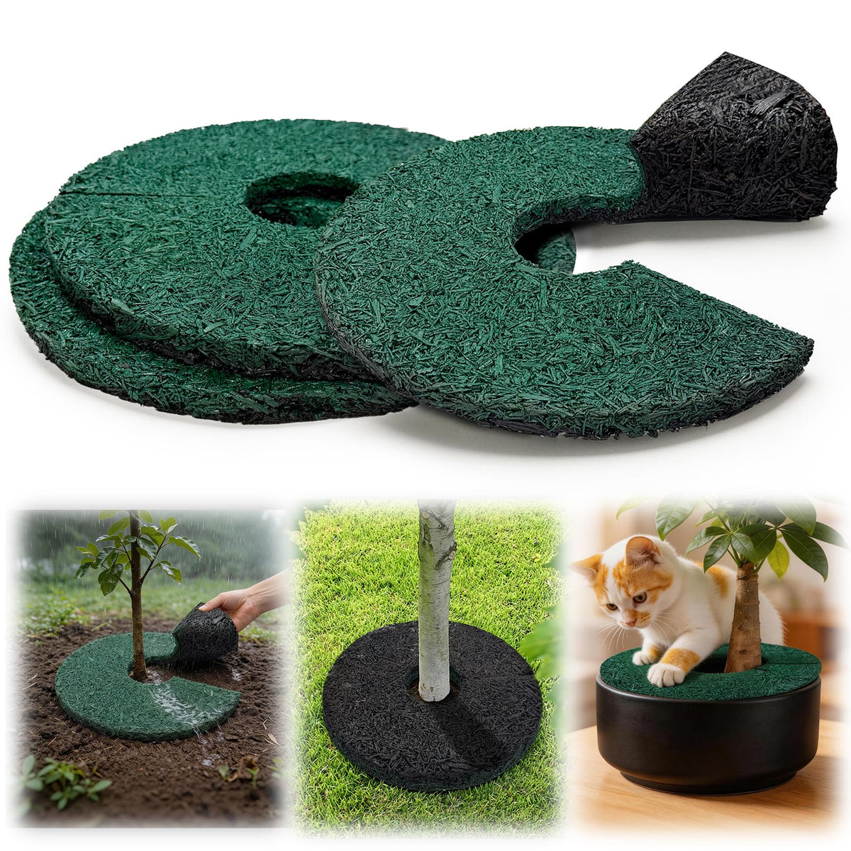 Bhyhok black-side mulch ring blends with modern landscapes and pots.
