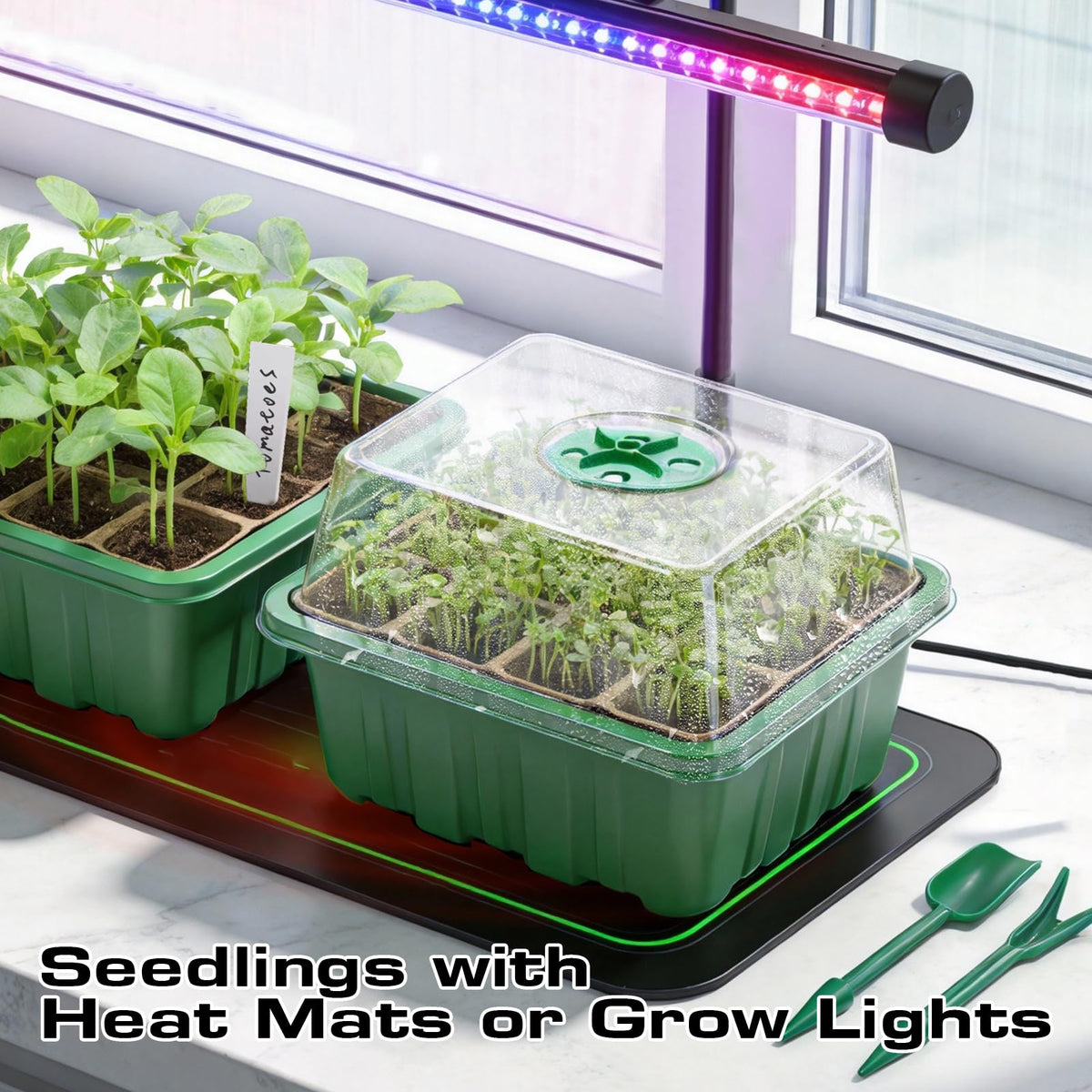 Bhyhok trays work with heat mats to speed germination