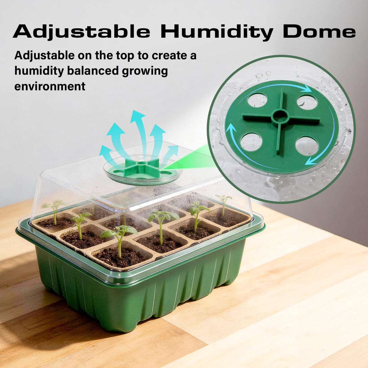 Bhyhok plantable pots enable direct transplant with minimal root disturbance