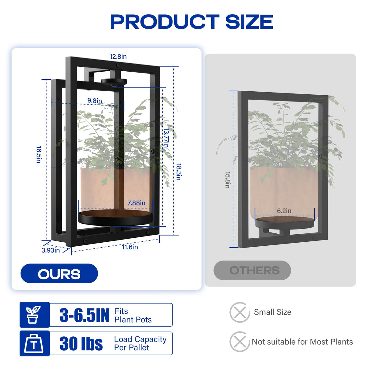 Bibiventa wall frames decor showcases living art with compact plant shelves.