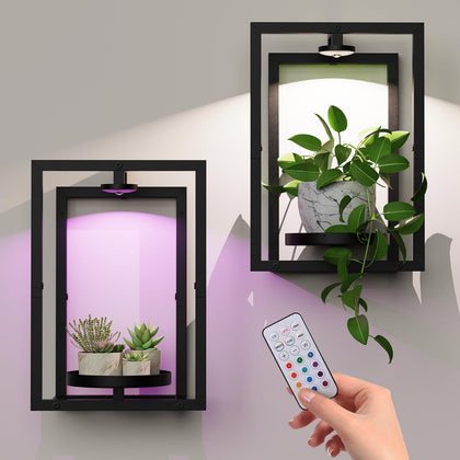 Bibiventa wall plant holder with grow light brightens indoor greenery.