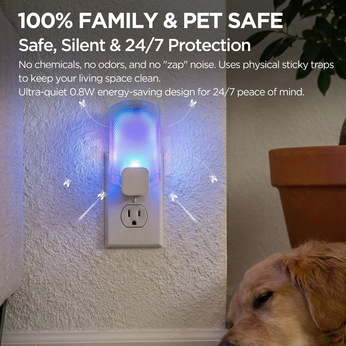 BietrunPro compact design fits discreetly in any room