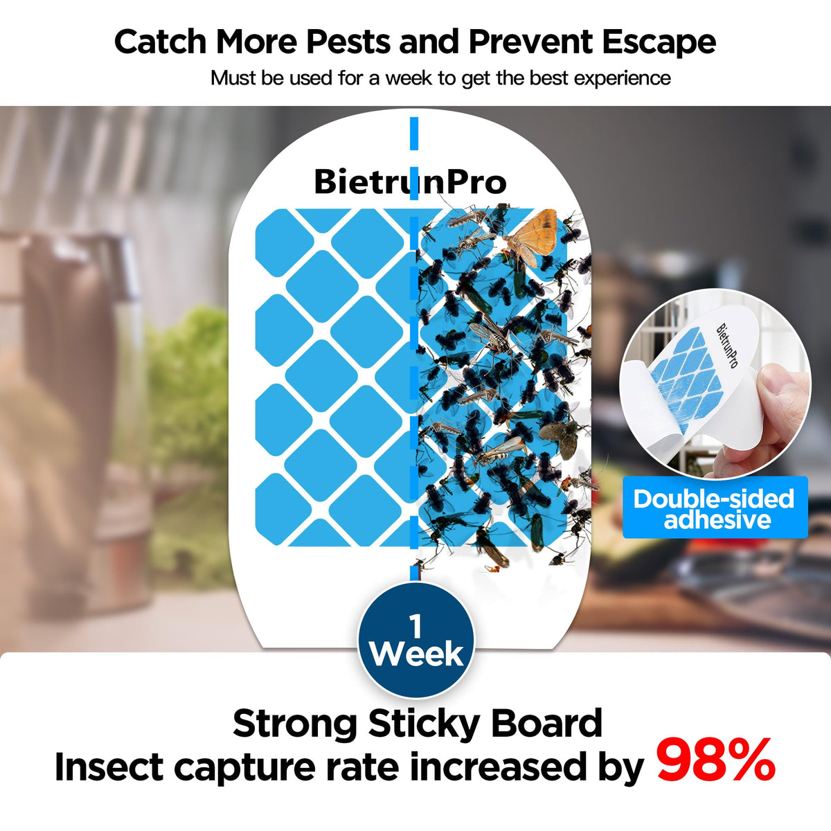 BietrunPro fruit fly trap with illuminated UV/blue lamps and dual wavelengths