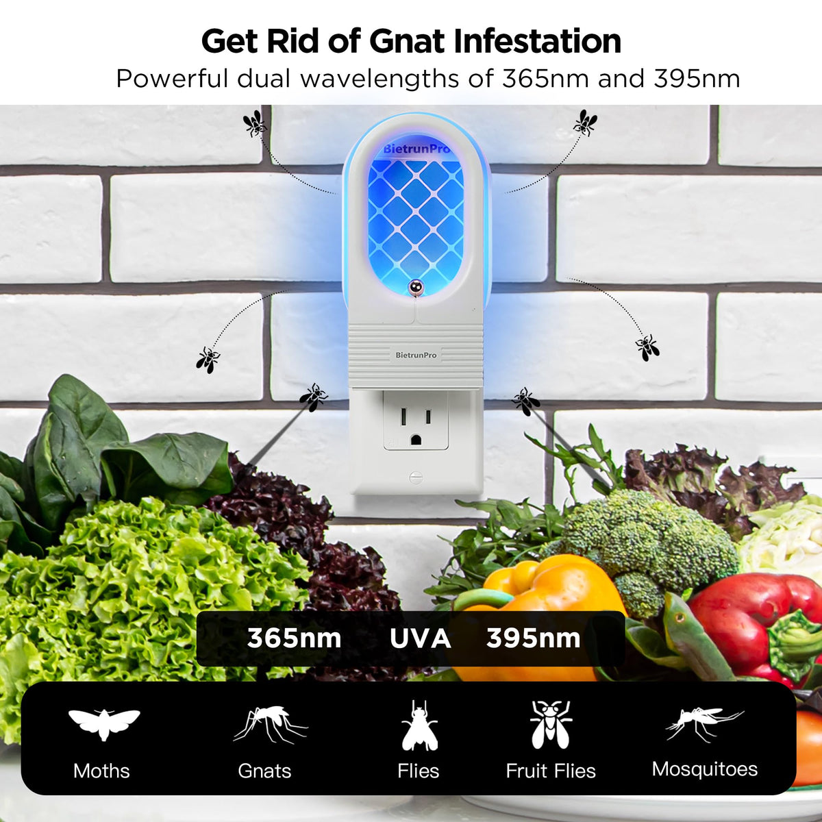 BietrunPro plug-in setup demonstrating quick, easy installation
