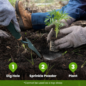 Big Foot Probiotic Root Boost powder dissolving in water promotes nutrient uptake.
