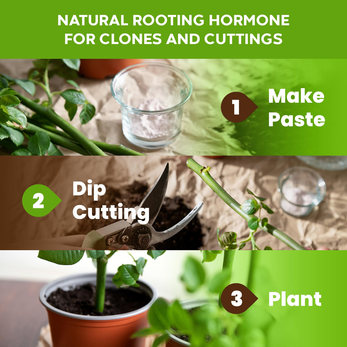 Big Foot Probiotic Root Boost for transplant-ready plants supports strong establishment.