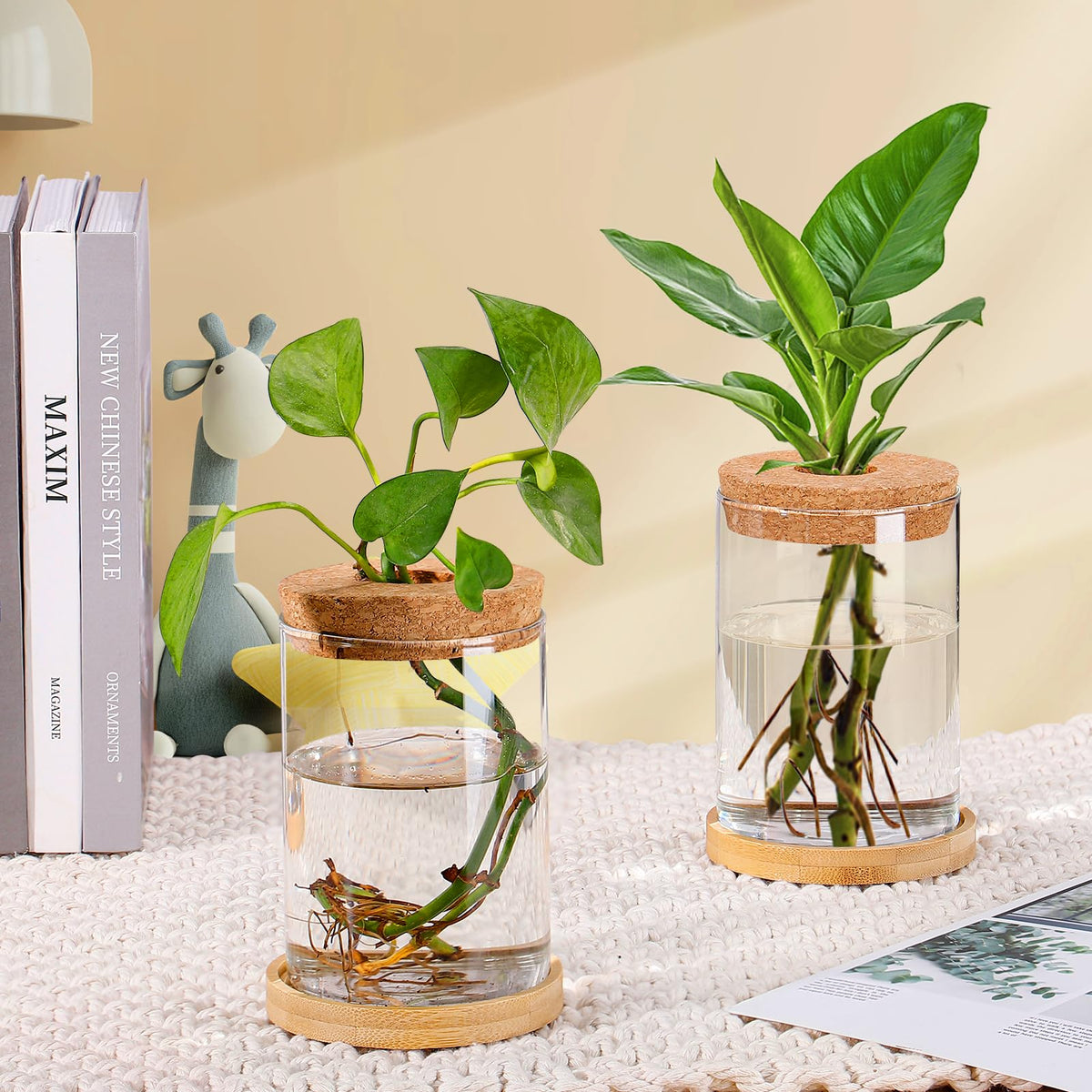 Biggun air plant vase highlights roots and greenery display