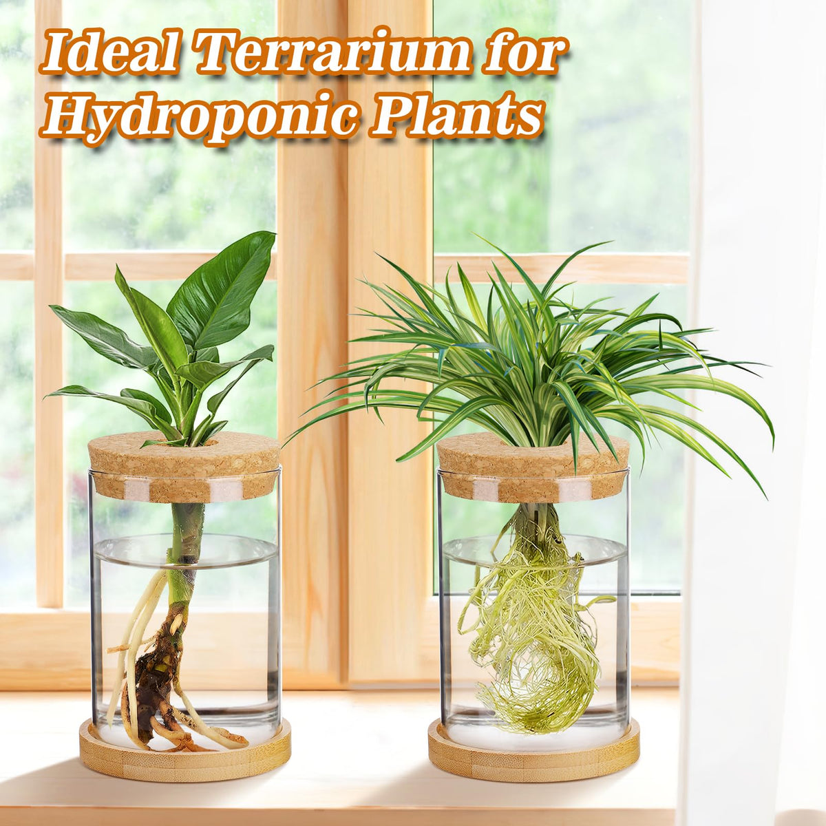 Biggun bamboo tray base keeps terrarium stable on surfaces