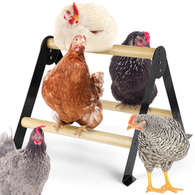 Biggun chicken perch on sturdy metal stand with varnished wooden roosting bar for secure night use