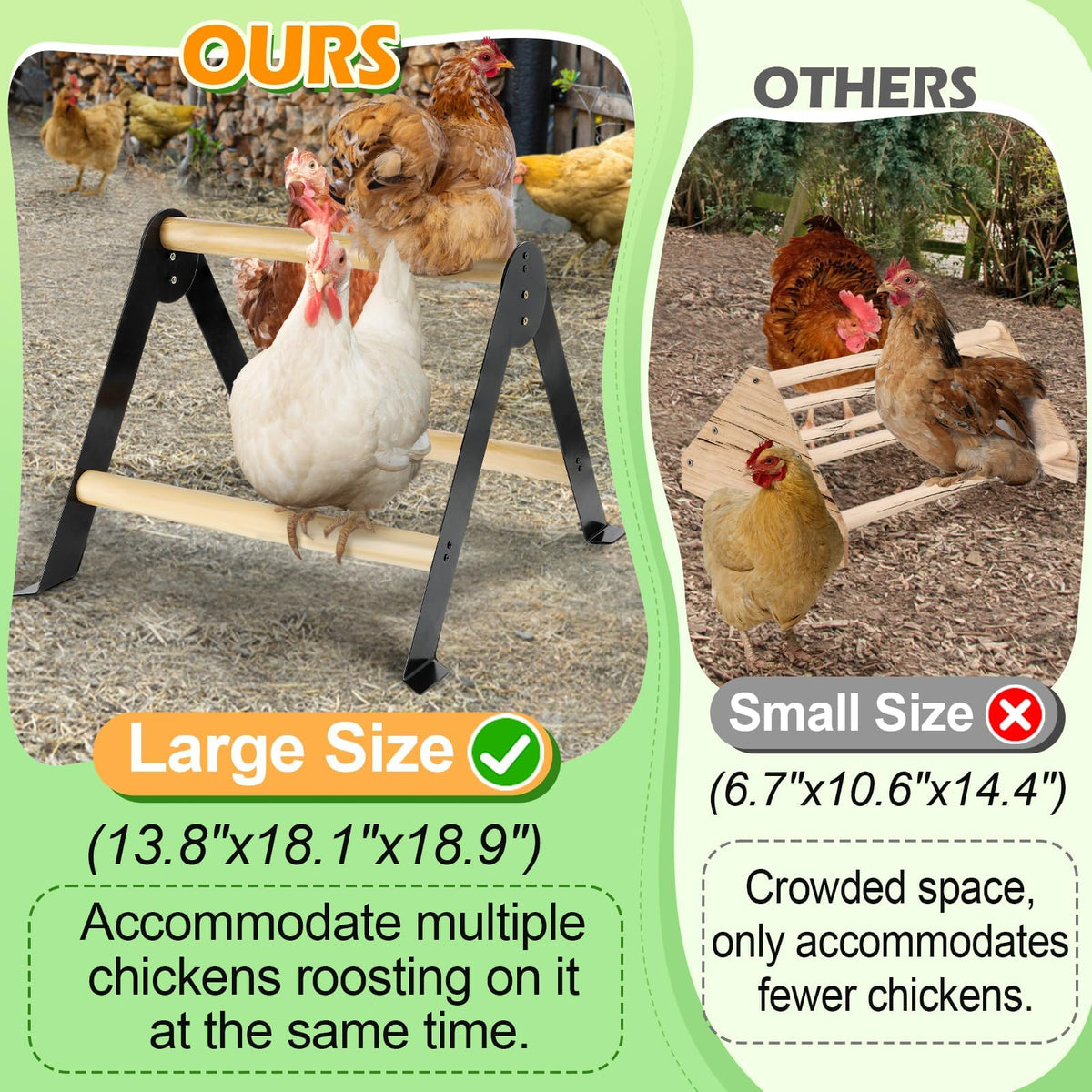 Biggun chicken perch image showing tool-free assembly for quick setup
