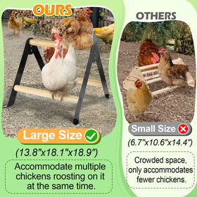 Biggun chicken perch image showing tool-free assembly for quick setup