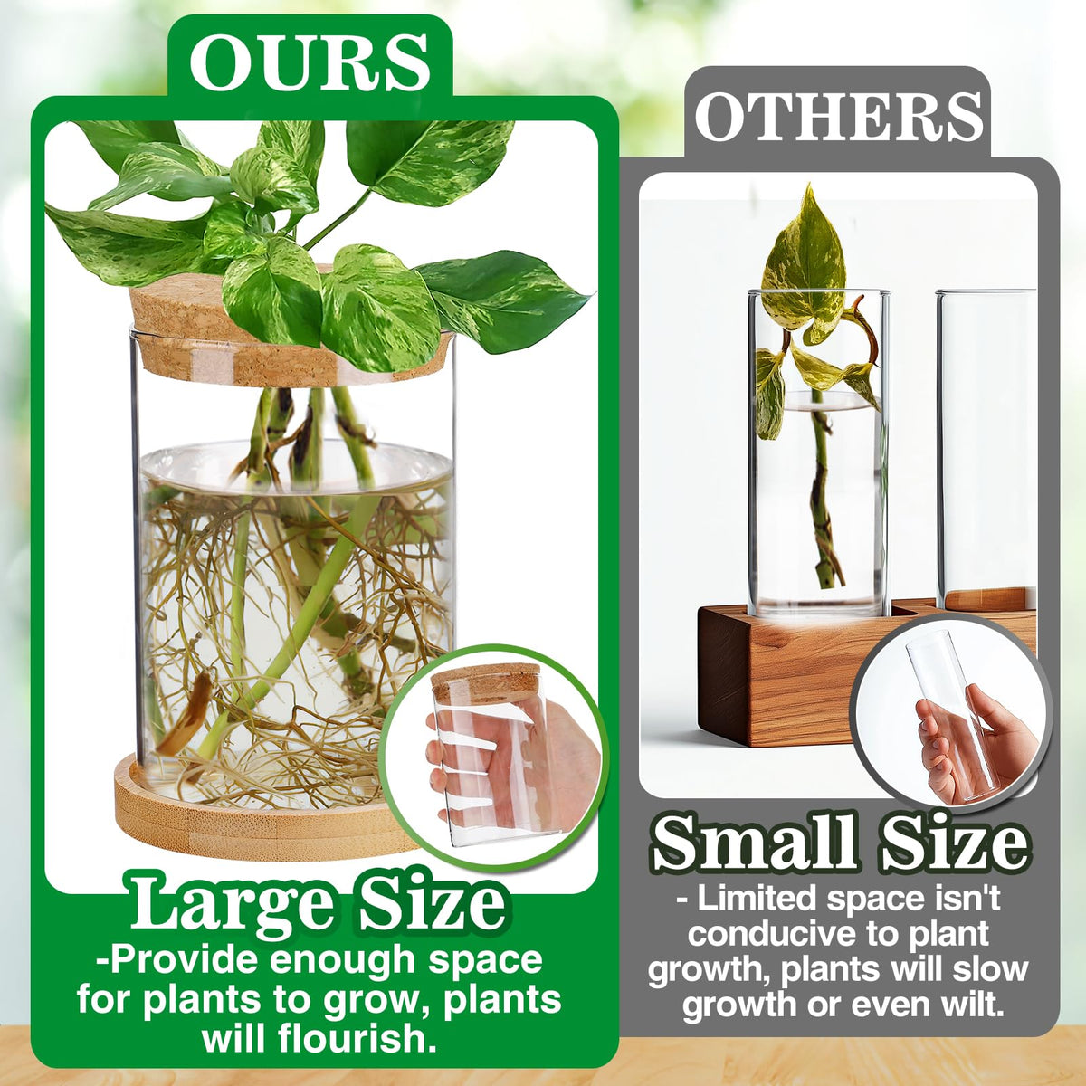 Biggun desktop hydroponic vases on a tidy workspace for display
