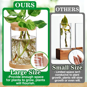 Biggun desktop hydroponic vases on a tidy workspace for display