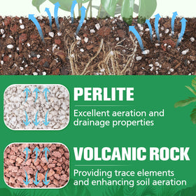 Biggun Monstera potting mix texture image shows lightweight, breathable substrate.