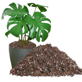 Biggun Monstera soil mix bag closeup highlighting rich texture for healthy roots.
