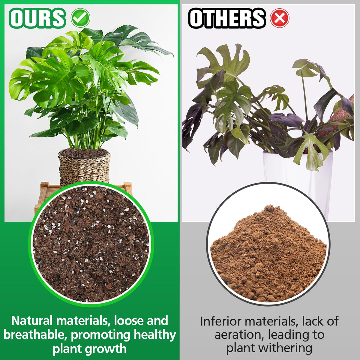 Biggun Monstera soil mix ingredients view emphasizing aeration and drainage benefits.
