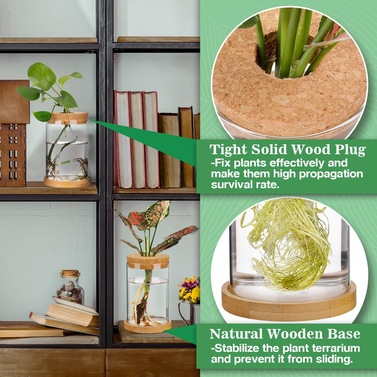 Biggun propagation station decorates offices, bedrooms, and counters