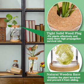 Biggun propagation station decorates offices, bedrooms, and counters