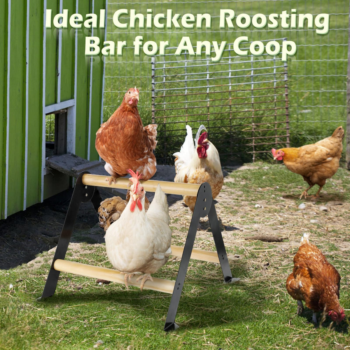 Biggun durable iron stand with wooden roost for long-lasting coop use