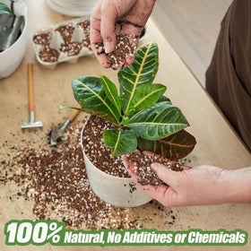 Bigmeta Coco Coir Perlite Mix improves drainage and aeration of soil