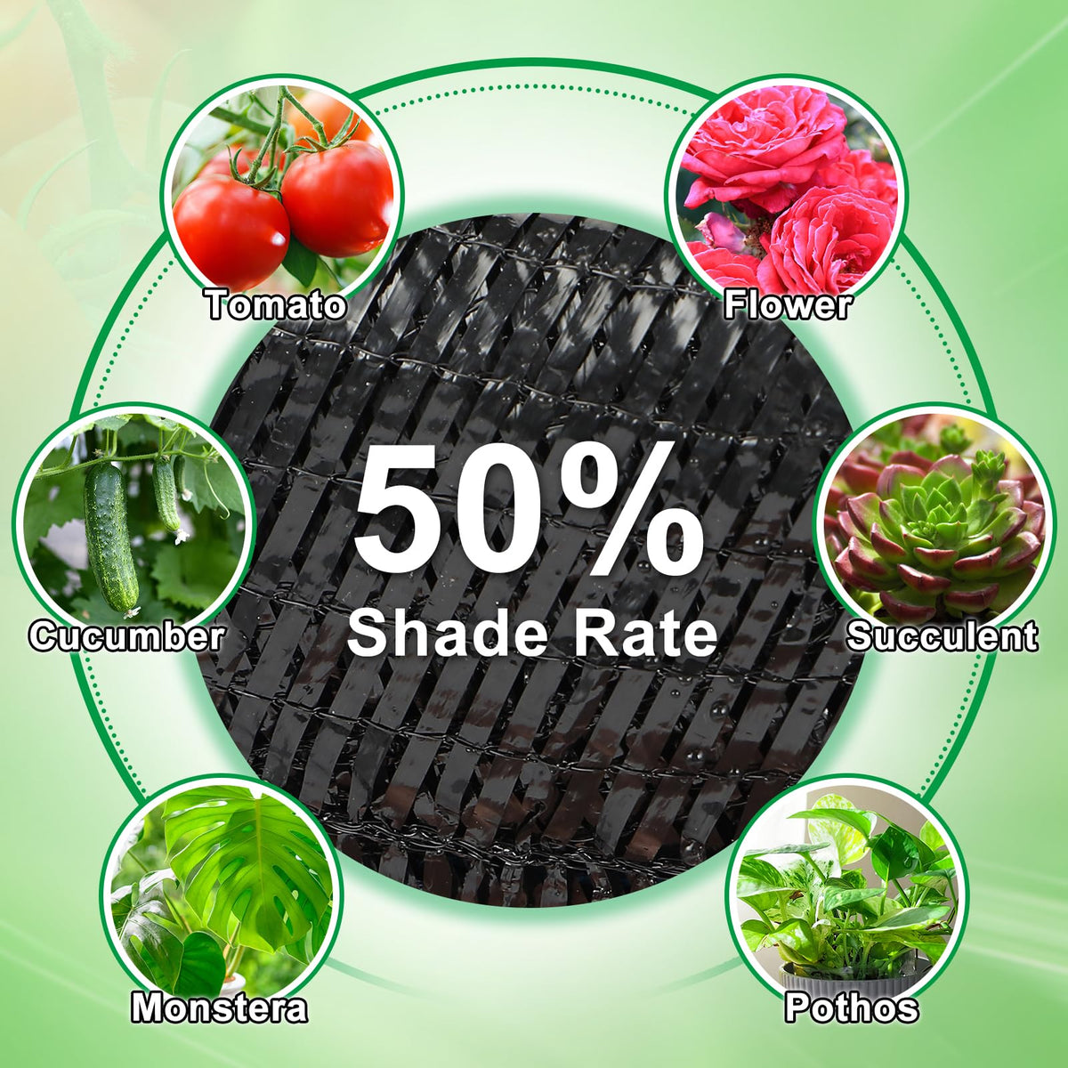 Bigmeta shade cloth in greenhouse promoting airflow and cooler environment.