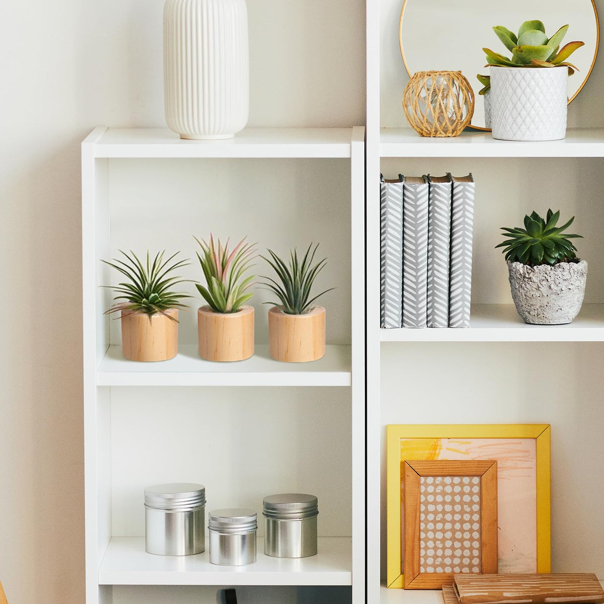 Bigmeta desk windowsill display with air plant holder decor