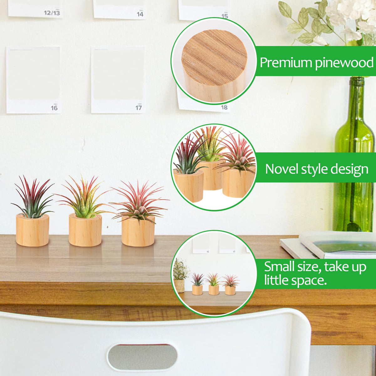 Bigmeta mini air plant display stand paired with small succulents