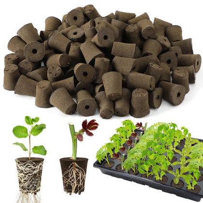 Bigmeta rooting sponges pack of 100 ready for germination.